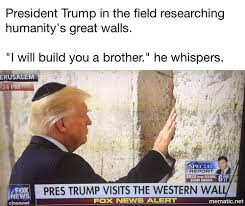 trumpwallmeme